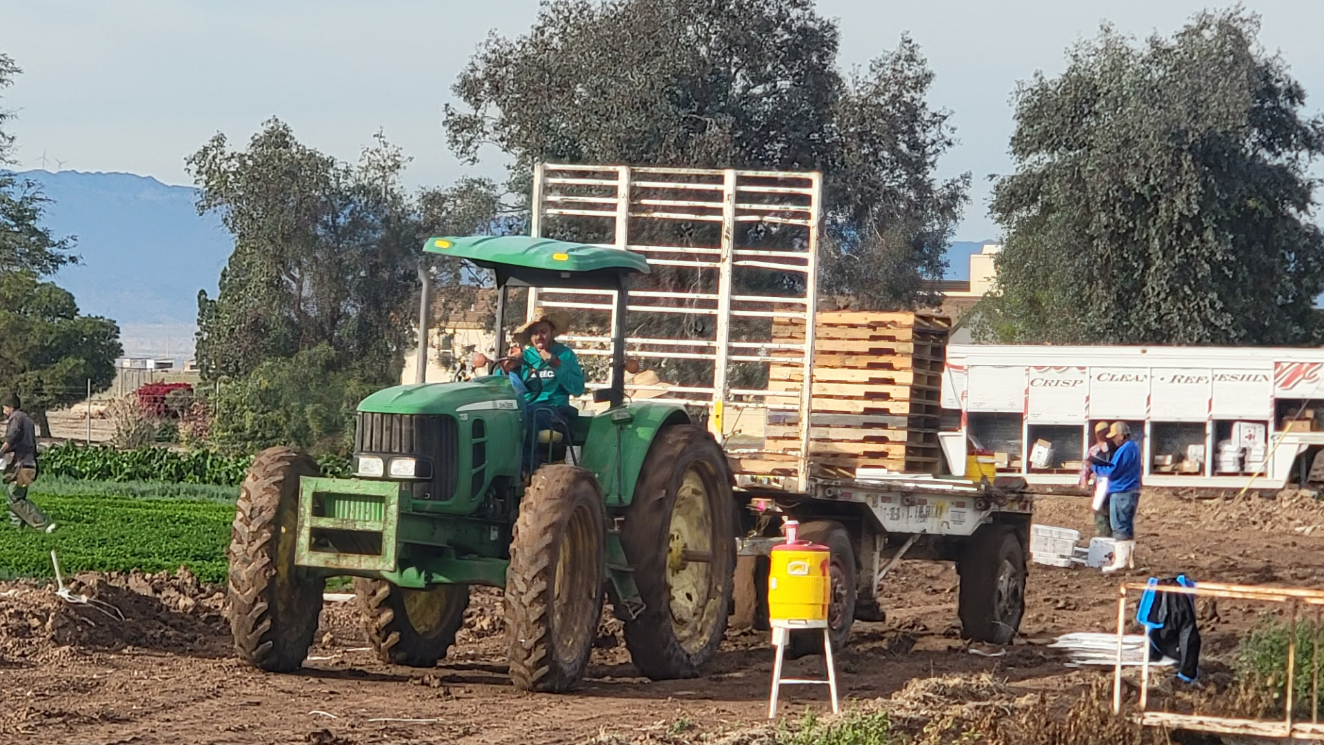 Winter vegetables, Imperial Valley — we grow two-thirds of the nation's winter produce.