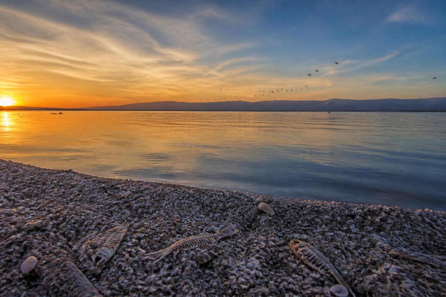 Sunset on the Salton Sea — worth saving.